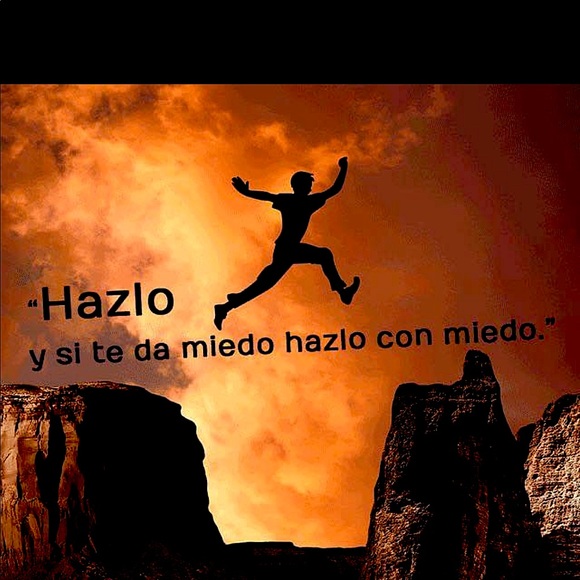 Meet your Posher, Libélula - Picture 1 of 1